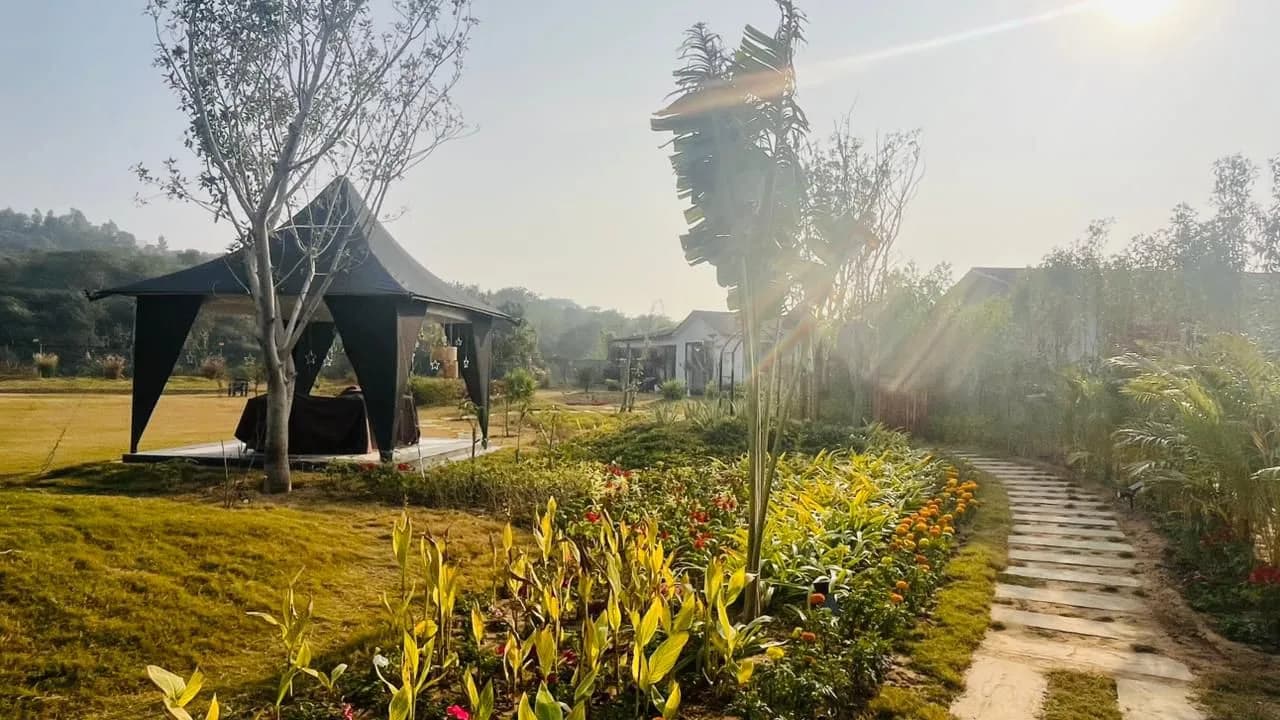 Luxury Garden Pathway