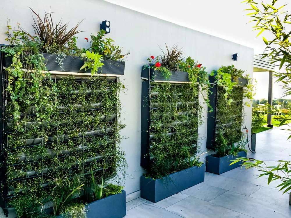 Rooftop Garden Retreat