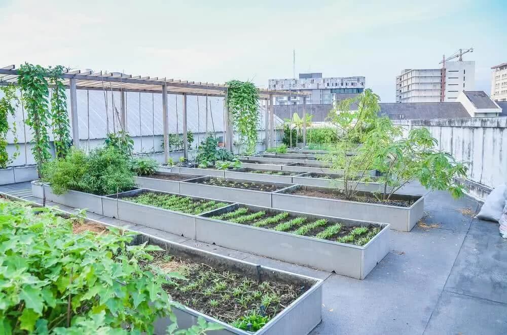 Urban Rooftop Oasis
